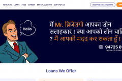 Loan Service Web Portal Design & Development